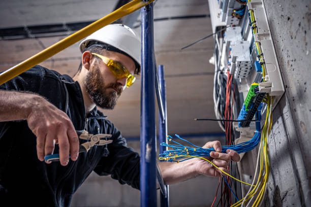 Best 24-Hour Electrician  in Linden, MI