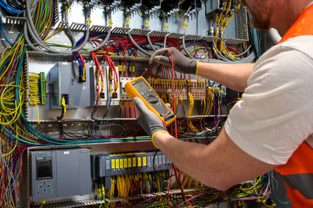 Best Electrical System Inspection  in Linden, MI